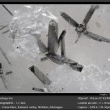 Arsenopyrite
fov 1.5 mm
(Autor: ploum)