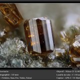 Vesuvianite
fov 3.0 mm
(Autor: ploum)