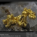Gold
fov 6.0 mm
(Autor: ploum)