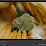 Mimetite
fov 6.0 mm
(Autor: ploum)