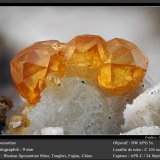 Garnet (Var : Spessartine)
fov 9.0 mm
(Autor: ploum)