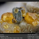 Garnet (Var : Spessartine)
fov 9 mm
(Autor: ploum)