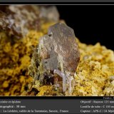Axinite-(Fe) with Epidote
fov 30 mm
(Autor: ploum)