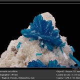 Cavansite
fov 30 mm
(Autor: ploum)