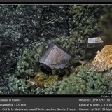 Anatase
fov 3.0 mm
(Autor: ploum)