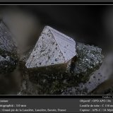Anatase
fov 3.0 mm
(Autor: ploum)