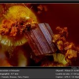 Beraunite and Cacoxenite
fov 0.70 mm
(Autor: ploum)