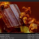 Beraunite and Cacoxenite
fov 0.45 mm
(Autor: ploum)