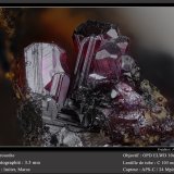 Proustite
fov 3.5 mm
(Autor: ploum)