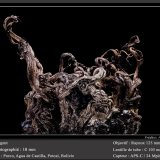 Silver
fov 18 mm
(Autor: ploum)