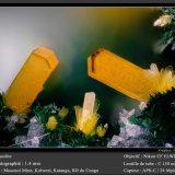 Kasolite
fov 1.4 mm
(Autor: ploum)