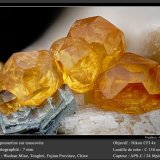 Spessartine
fov 7 mm
(Autor: ploum)