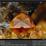 Spessartine
fov 5.5 mm
(Autor: ploum)