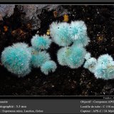 Rosasite
fov 5.5 mm
(Autor: ploum)
