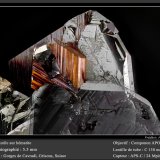 Rutile on Hematite
fov 5.5 mm
(Autor: ploum)