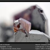 Rutile on Hematite
fov 5.5 mm
(Autor: ploum)