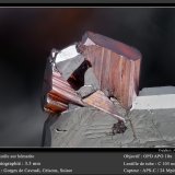 Rutile on Hematite
fov 3.5 mm
(Autor: ploum)
