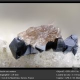 Titanite on Anatase
fov 3 mm
(Autor: ploum)