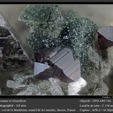 Anatase, Clinochlore, Bertrandite
fov 2.8 mm
(Autor: ploum)