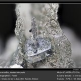 Bertrandite
fov 7 mm
(Autor: ploum)