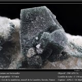 Anatase on Bertrandite
fov 5.5 mm
(Autor: ploum)