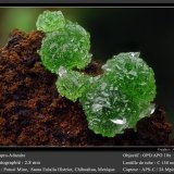 Adamite
fov 2.8 mm
(Autor: ploum)