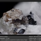 Titanite and Anatase
fov 5.5 mm
(Autor: ploum)