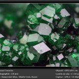 Uvarovite (Garnet Group)
fov 2.8 mm
(Autor: ploum)