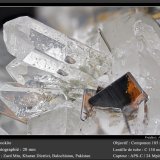 Brookite on Quartz
fov 20 mm
(Autor: ploum)