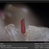 Erythrite on Quartz
fov 2.8 mm
(Autor: ploum)