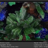 Olivenite and Azurite
fov 8.0 mm
(Autor: ploum)