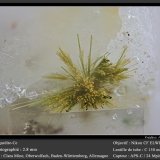 Agardite-(Ce)
fov 2.8 mm
(Autor: ploum)