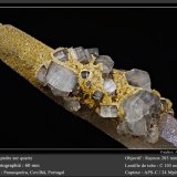 Fluorapatite on Quartz with Siderite
fov 60 mm
(Autor: ploum)