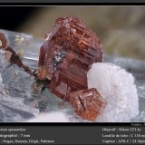 Spessartine (Garnet Group)
fov 7 mm
(Autor: ploum)
