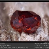 Spessartine (Garnet Group)
fov 2.8 mm
(Autor: ploum)