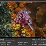 Cuprite
fov 1.4 mm
(Autor: ploum)