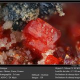 Realgar
fov 2.6 mm
(Autor: ploum)
