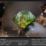 Libethenite
fov 1.4 mm
(Autor: ploum)