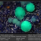 Theisite, Adamite and Azurite
fov 1.4 mm
(Autor: ploum)
