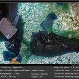 Clinoclase on Chrysocolla
fov 1.4 mm
(Autor: ploum)