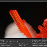 Realgar
fov 1.4 mm
(Autor: ploum)