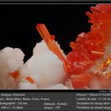 Realgar and Hörnesite
fov 2.8 mm
(Autor: ploum)