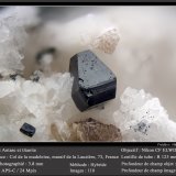 Anatase and Titanite
fov 3.8 mm
(Autor: ploum)
