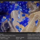 Azurite
fov 1.1 mm
(Autor: ploum)