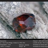 Spessartine (Garnet Group)
fov 3 mm
(Autor: ploum)