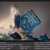 Clinoclase
fov 0.55 mm
(Autor: ploum)