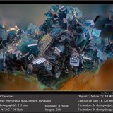 Clinoclase
fov 1.5 mm
(Autor: ploum)