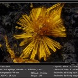 fov 0.9 mm
(Autor: ploum)