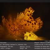 Cacoxenite
fov 0.45 mm
(Autor: ploum)
