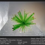 Agardite - Ce
fov 1.2 mm
(Autor: ploum)